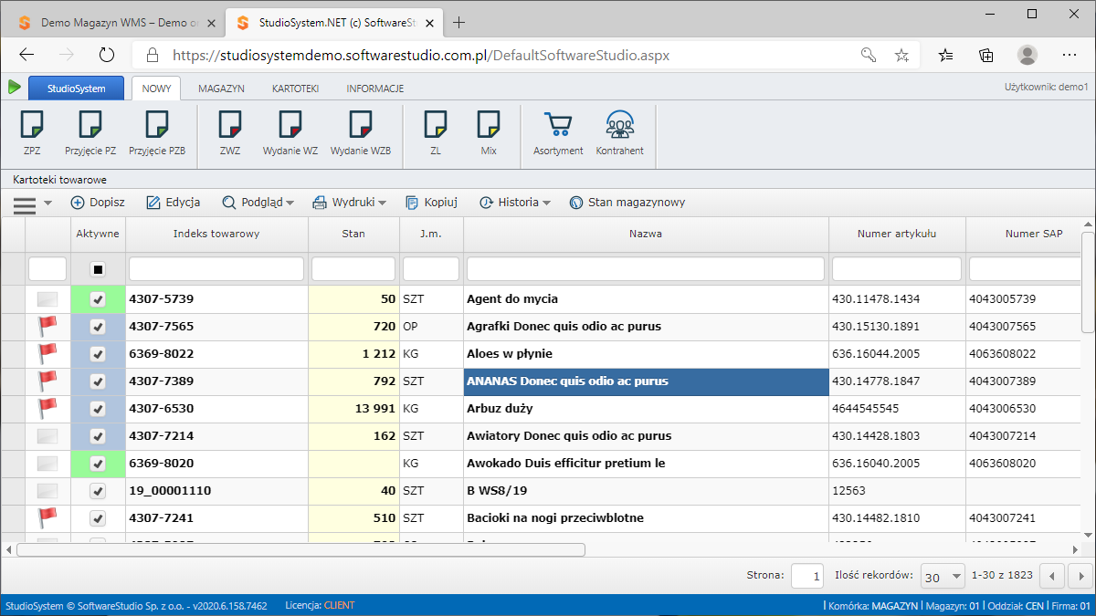 SoftwareStudio program magazynowy wms.net